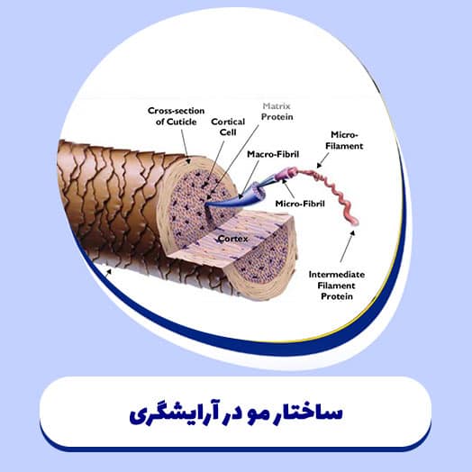 ساختار مو در آرایشگری