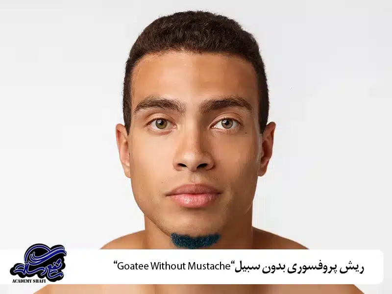 ریش پروفسوری بدون سبیل “Goatee Without Mustache”